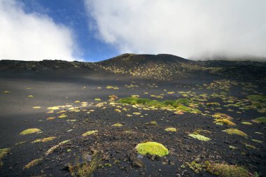 Etna volkanı, Catania, Sicilya, İtalya.