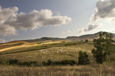 Tapınaklar Vadisi, İtalya Sicilya'da Agrigento.