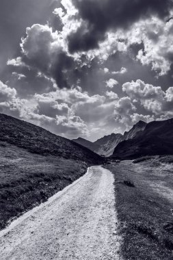 Yazın İsviçre Alpleri manzarası