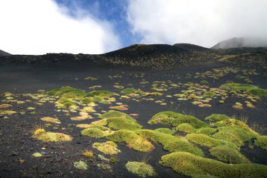 Etna volkanı, Catania, Sicilya, İtalya.