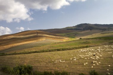 Tapınaklar Vadisi, İtalya Sicilya'da Agrigento.