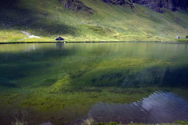 Yazın İsviçre Alpleri manzarası