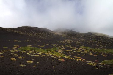 Etna volkanı, Catania, Sicilya, İtalya.