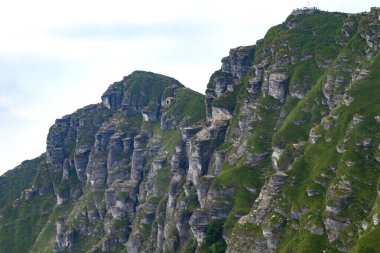 Yazın İsviçre Alpleri manzarası