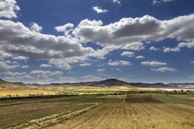 Tapınaklar Vadisi, İtalya Sicilya'da Agrigento.