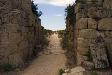 Eski taş tapınak ve doğa kalıntıları, İtalya 'nın Sicilya kentindeki tepedeki Segesta kasabasından manzara..