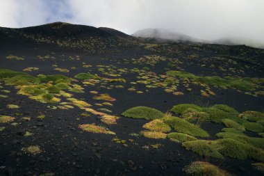 Etna volkanı, Catania, Sicilya, İtalya.
