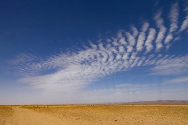 Sarı çöl kumunun manzarası, Fas.
