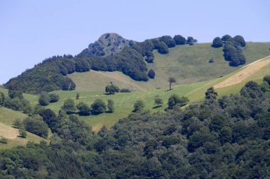 Yazın İsviçre Alpleri manzarası