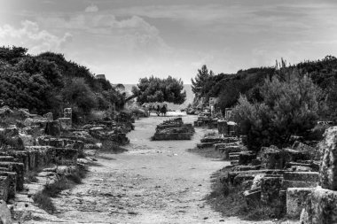 Eski taş tapınak ve doğa kalıntıları, İtalya 'nın Sicilya kentindeki tepedeki Segesta kasabasından manzara..