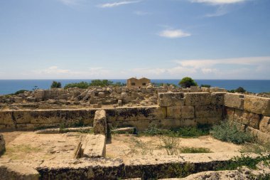 Eski taş tapınak ve doğa kalıntıları, İtalya 'nın Sicilya kentindeki tepedeki Segesta kasabasından manzara..
