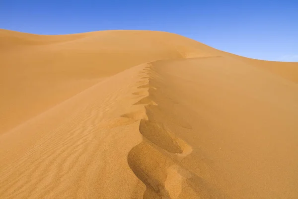 Paisaje Arena Amarilla Del Desierto Marruecos —  Fotos de Stock