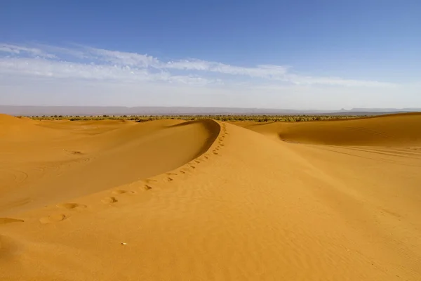 Paesaggio Sabbia Gialla Del Deserto Marocco — Foto Stock