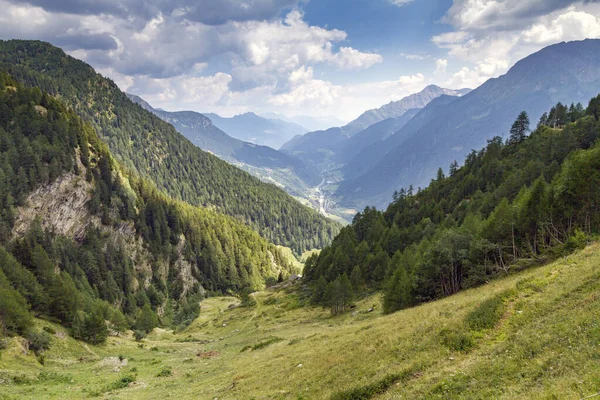 Τοπίο Των Ελβετικών Άλπεων Καλοκαίρι — Φωτογραφία Αρχείου