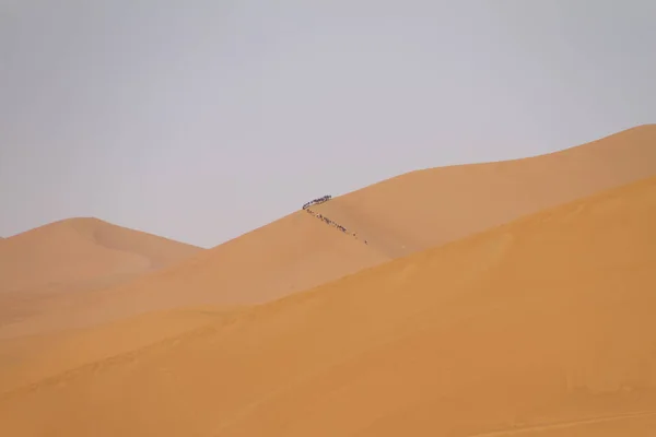 Landscape Yellow Desert Sand Morocco — Stock Photo, Image