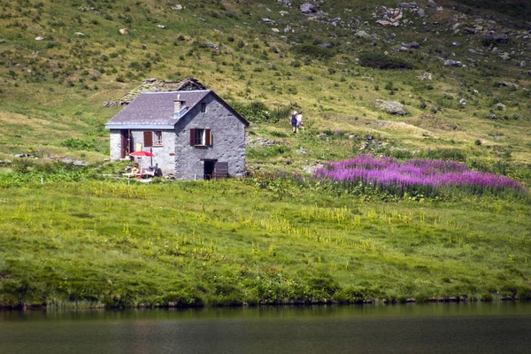 夏のスイスアルプスの風景 — ストック写真