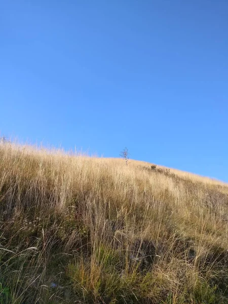 Hilly Krajina Itálie Italská Povaha — Stock fotografie