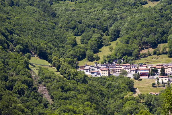 夏季瑞士阿尔卑斯山景观 — 图库照片