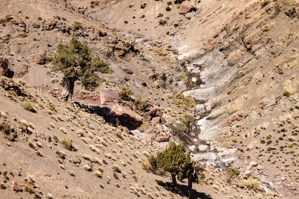 Viajes Montañas Del Alto Atlas Marruecos —  Fotos de Stock