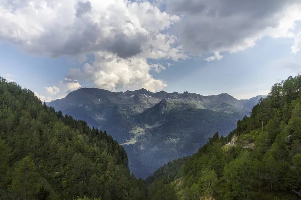 夏のスイスアルプスの風景 — ストック写真