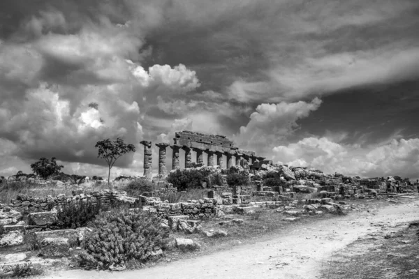 Ancient Ruins Stone Temple Nature View Hilltop Town Segesta Sicily — ストック写真