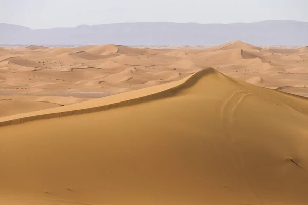 Landschap Van Geel Woestijnzand Marokko — Stockfoto