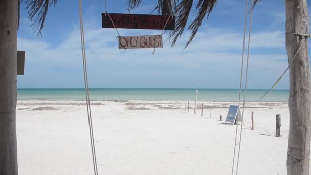 Tumbonas Hamacas Exclusivas Isla Holbox Mar Caribe México Filmación Vídeo — Vídeo de stock