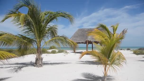メキシコのホルボックス島にある天然ガゼボと白い砂のヤシの木があるカリブ海のビーチ 自然との接触でリラックスするのに理想的な場所です 横画面向きのビデオ映像 — ストック動画
