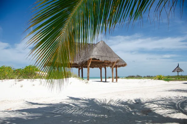 棕榈叶在前景广阔 小屋在沙滩上 背景是白沙滩和加勒比海 霍尔盒岛 墨西哥最理想的放松之地 — 图库照片