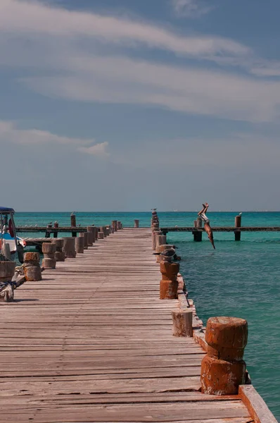 Ein Liebespaar Springt Vom Pier Ins Meer Karibik Mexiko Cancun — Stockfoto