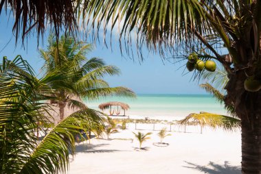 Tropik bahçe sahili okyanus manzarası, hepsi bir arada, Holbox adası, Meksika - dinlenmek için mükemmel bir yer.