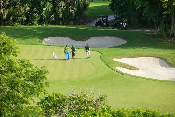 Golf sahasında iyi vakit geçiren bir grup arkadaş. Golf arabalarıyla eğlenceli bir sohbette yan yana yürürler - Playa del Carmen, Meksika