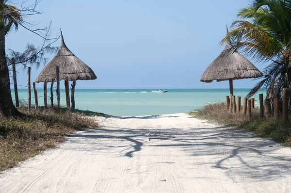 Kumun Dar Kıyı Yolu Palmiye Ağaçlarının Olduğu Issız Bir Sahile — Stok fotoğraf
