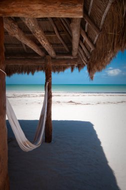 Sahilde bir kulübe ve hamak, Holbox Adası, Meksika 'da bir çöl plajı rahatlamak ve Karayip Okyanusu' nun önünde meditasyon yapmak için mükemmel bir yer.