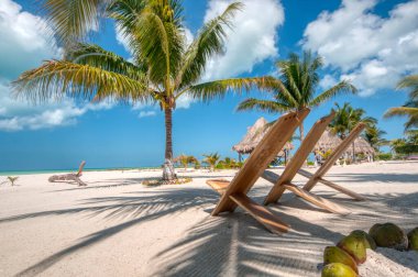 Mükemmel bir sahil Karayip Okyanusu önü, mükemmel bir sahil kulübü. Palmiye ağaçları, beyaz kum ve rahatlama. Holbox Adası, Meksika.
