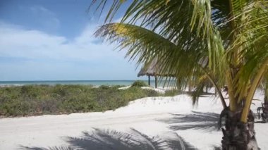 Palmiye ağaçları, kır kulübesi ve beyaz kumlu Karayipler plajı, Holbox Adası, Meksika. Doğayla temasta rahatlamak için ideal bir yer.
