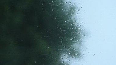 Pencereye yakın çekim su damlaları, yağmur. Arka planda, bulanık ağaçlar rüzgarla hareket eder. Dikey ekran video, Meksika