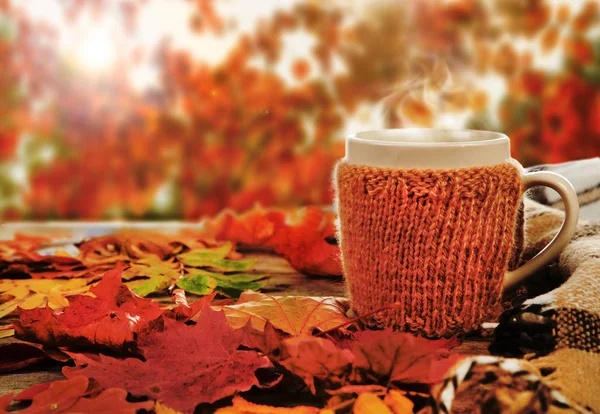 Kopp varm dryck på den vackra hösten bakgrunden — Stockfoto