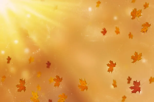 Fondo otoñal con rayos de sol y hojas voladoras . —  Fotos de Stock