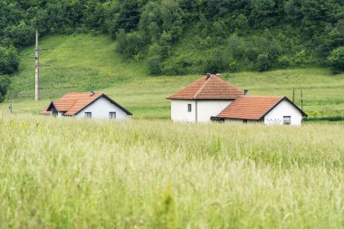 Yeşil çim tarlasında küçük ev doğa arka planında
