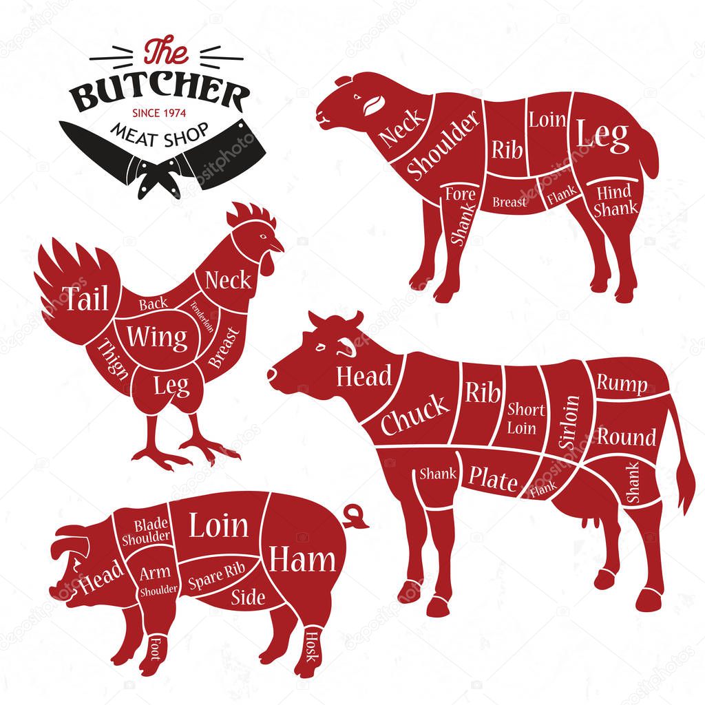 Meat cuts. Diagrams for butcher shop. Vector illustration