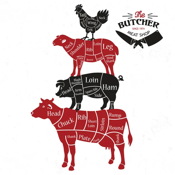 Meat cuts. Diagrams for butcher shop. Animal silhouette. Vector illustration. — Stock Vector