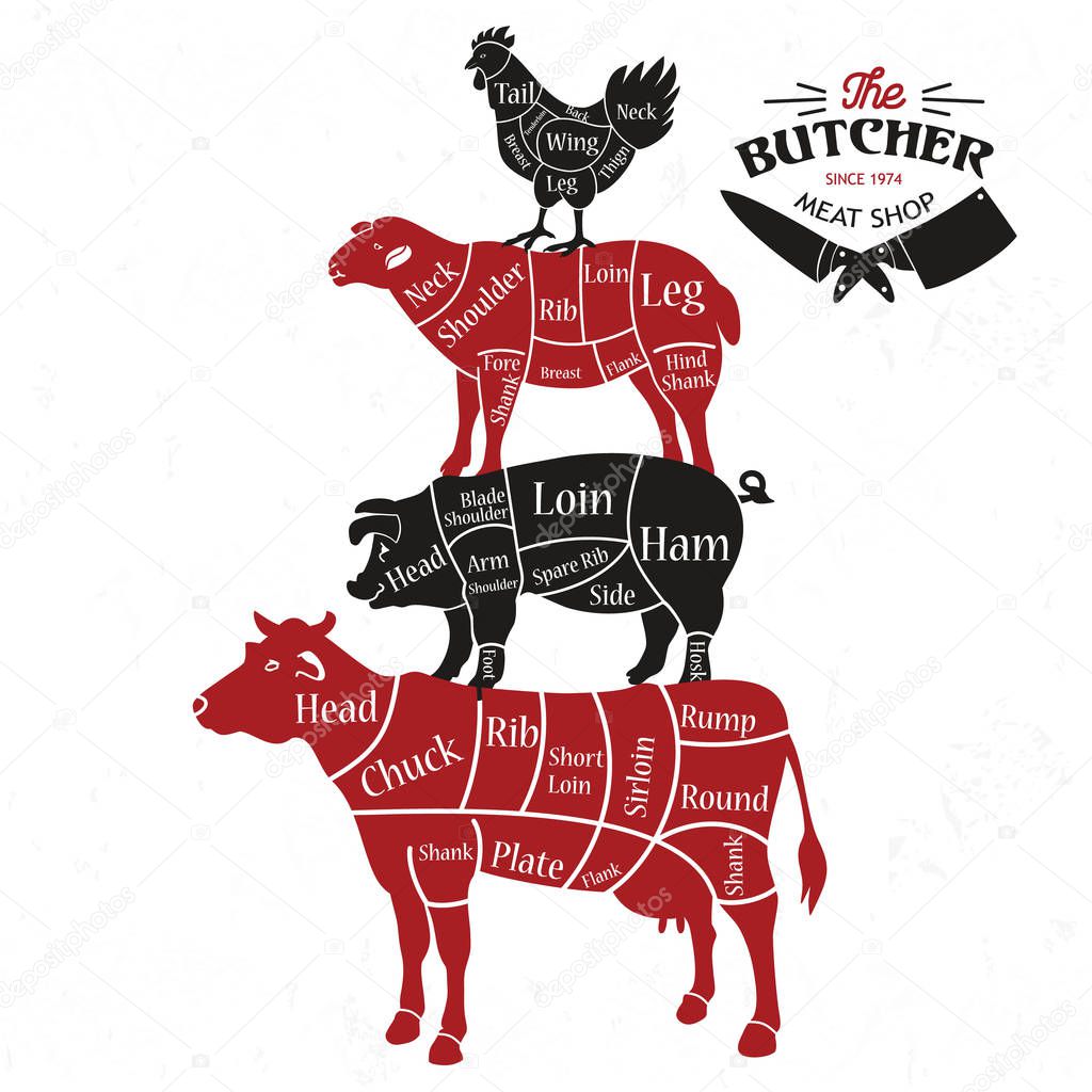 Meat cuts. Diagrams for butcher shop. Vector illustration