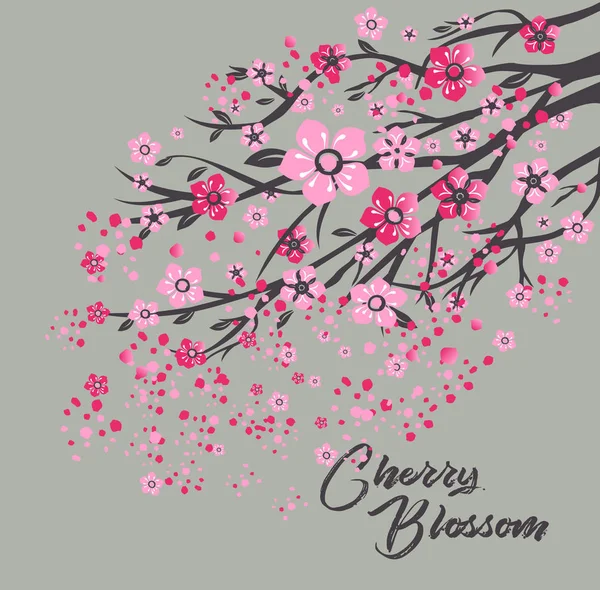 Sakura japão cereja ramo com flores florescendo vetor ilustração . —  Vetores de Stock