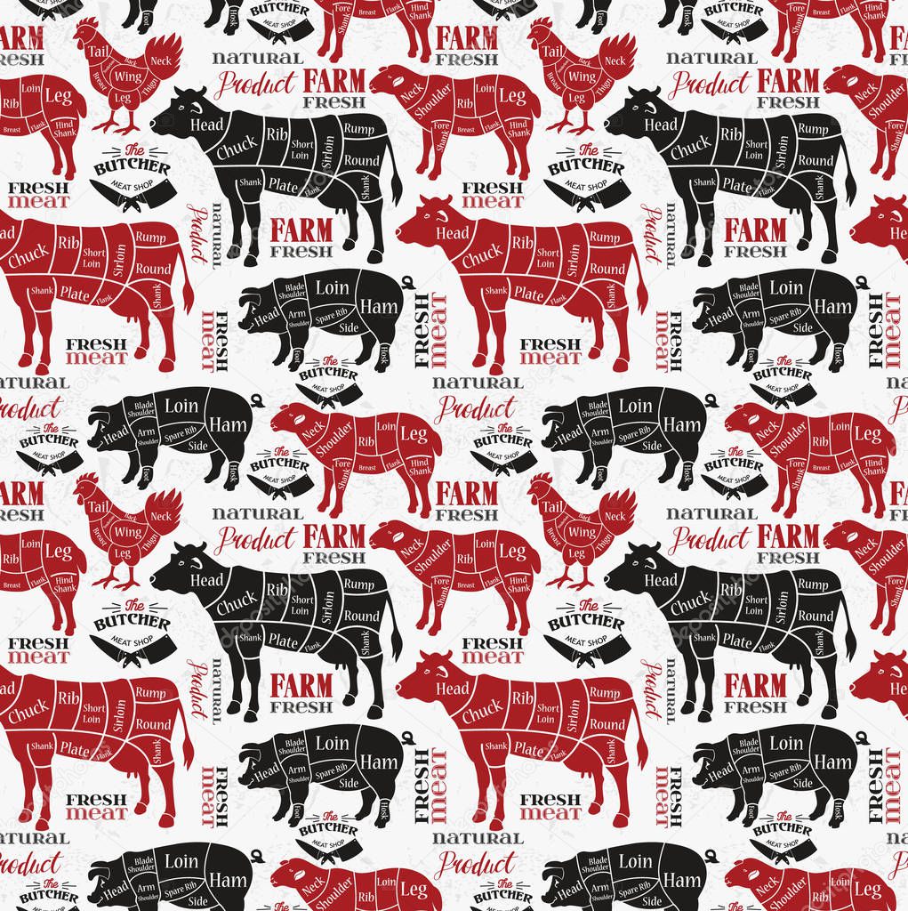 Meat cuts. Diagrams for butcher shop. Vector illustration