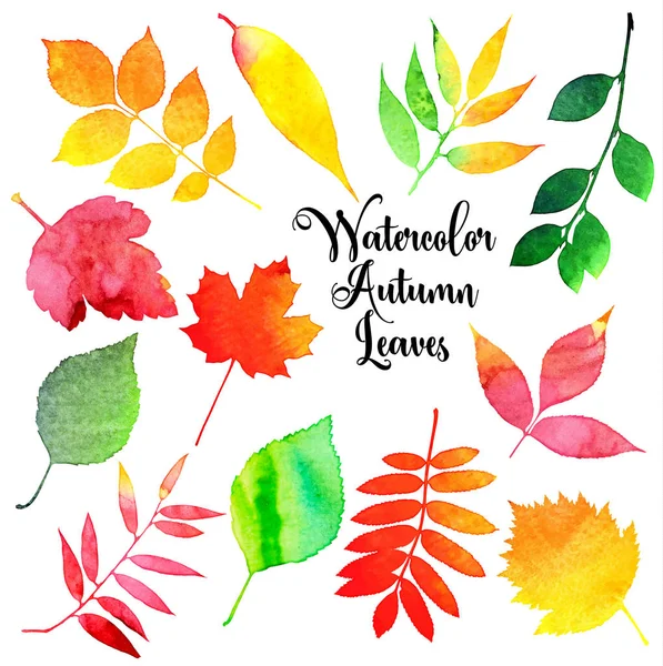Vector watercolor autumn leaves collection in brught color — Stock Vector