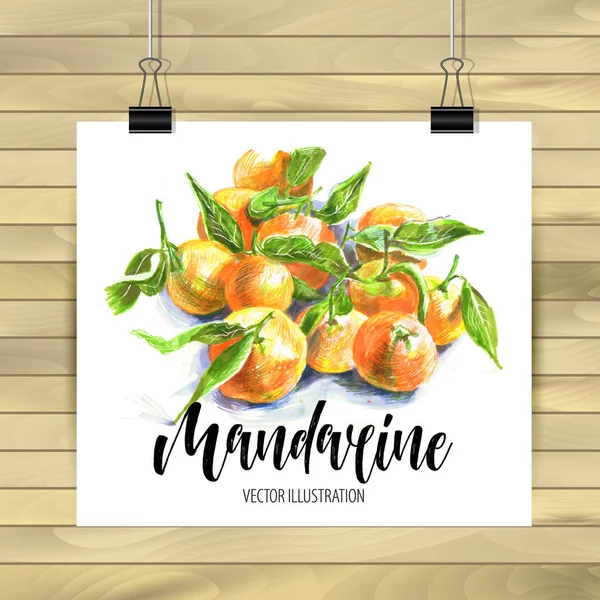 Hand getekende set van oranje fruit met textuur. Collectie van voedingselementen. Vector illustratie van mandarijnen met bladeren. Floral kleurrijke vectorelementen voorontwerp. — Stockvector