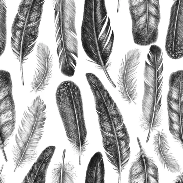 Freihändig Federkiel zeichnen. Stammesnahtloses Muster von Federn. Vereinzelt auf weißem Hintergrund im grafischen Stil. — Stockfoto