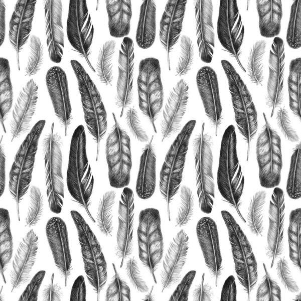 Freehand drawing quill of fethers birds. Tribal seamless pattern. Isolated on white background in graphic style. — Stock Photo, Image