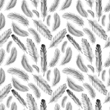 Freehand kuş tüyü çiziyor. Kabilenin kusursuz deseni. Grafik biçiminde beyaz arkaplanda izole.